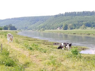 03. Hameln-Bad Karlshafen_5