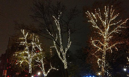 IMG_20181122_175446