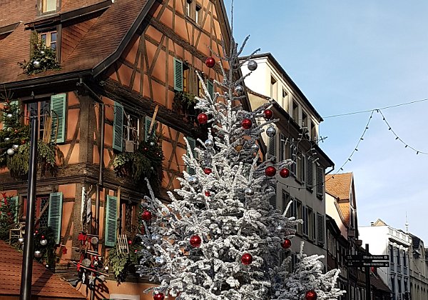 2016 - Colmar (F)