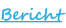Bericht