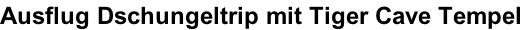 Ausflug Dschungeltrip mit Tiger Cave Tempel